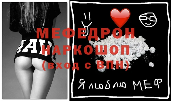 индика Алексин