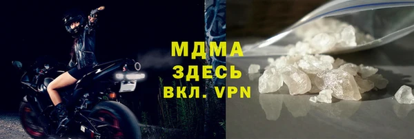 индика Алексин