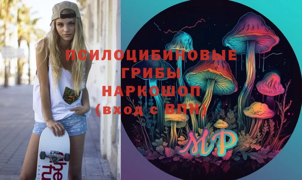 PSILOCYBIN Абаза