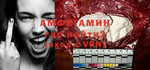 индика Алексин