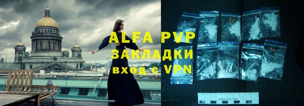 индика Алексин
