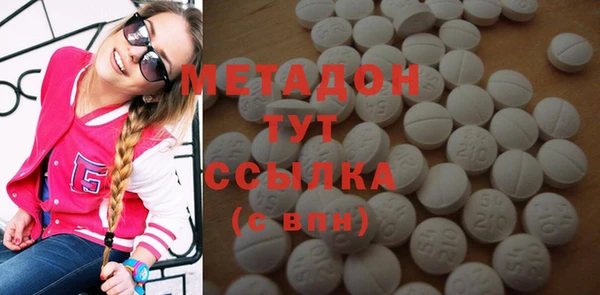 индика Алексин