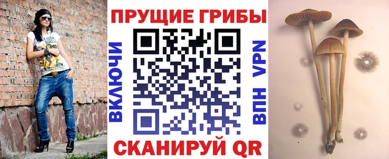 Псилоцибиновые грибы мицелий  что такое   Лабытнанги 